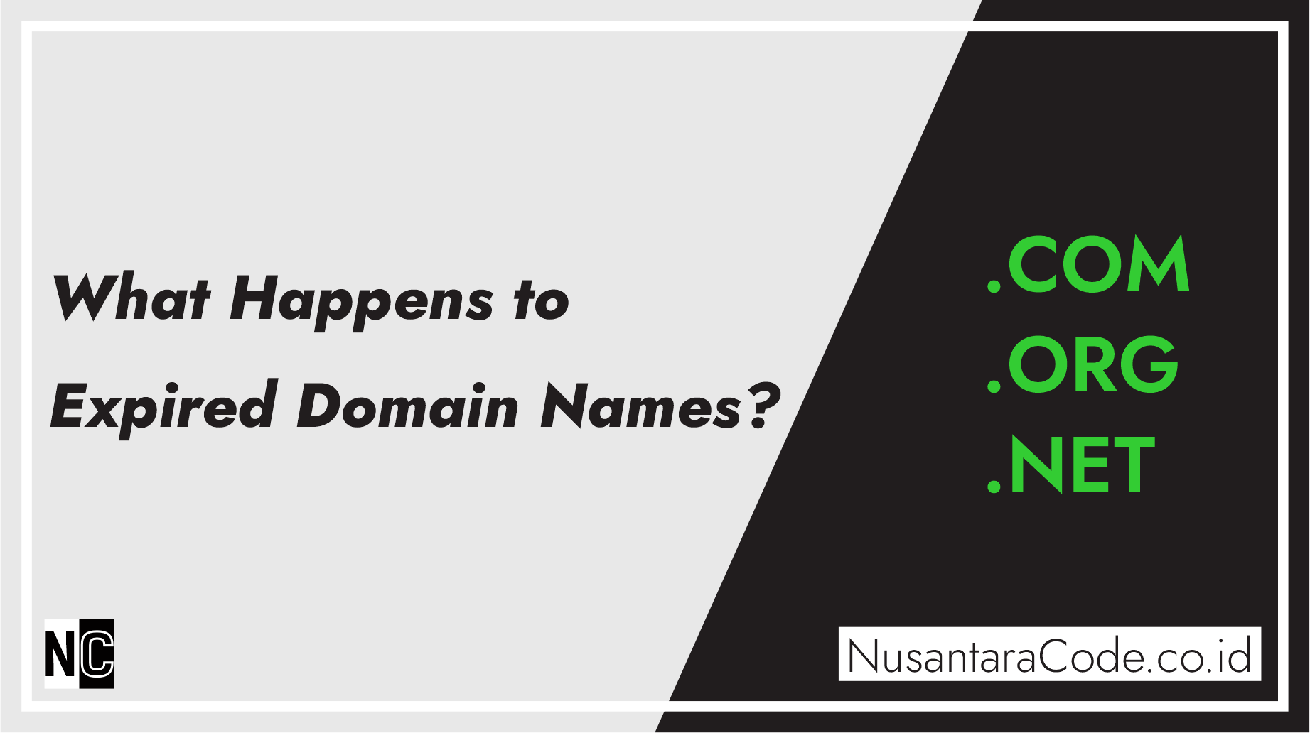 What Happens to Expired Domain Names?